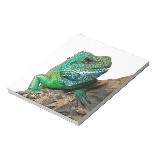 Grüne Leguane Notizblock (Rotiert)