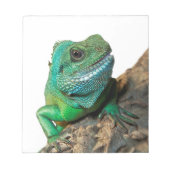 Grüne Leguane Notizblock (Vorderseite)