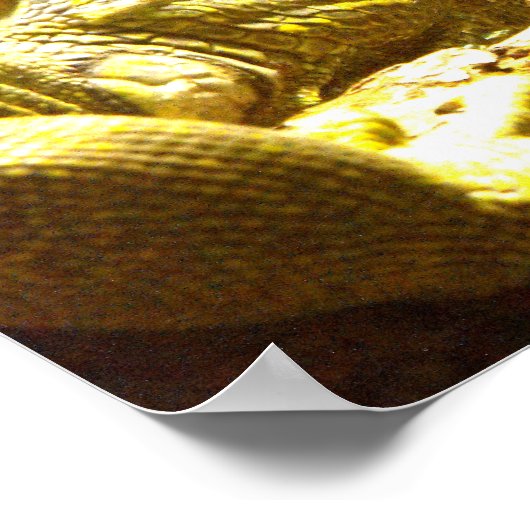 Grüne Leguane Poster (Ecke)