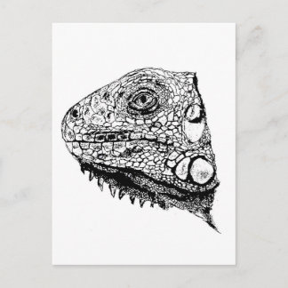 Grüne Leguane Postkarte