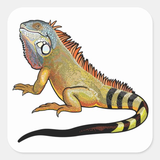 Grüne Leguane Quadratischer Aufkleber (Vorderseite)