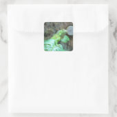 Grüne Leguane Quadratischer Aufkleber (Tasche)