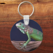 Grüne Leguane Schlüsselanhänger (Vorderseite)
