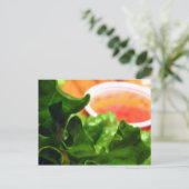 Grüne Lettuce Leaf Foto Postkarten (Stehend Vorderseite)