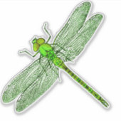 Grüne Libelle Aufkleber (Vorderseite)