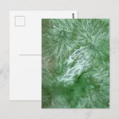 Grüne Libellen Libellenliebhaber Postkarte (Vorne/Hinten)