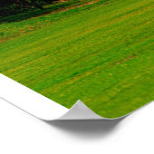 Grüne Lichtung Poster (Ecke)