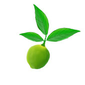 Grüne Limettens-Limonade-Gin-Tonic Dosenglas