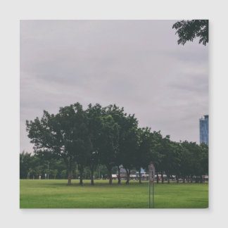 Grüne Linie Magnetkarte