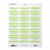 Grüne Linien - Adressetikett (Vorne)