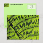 Grüne Linke Postkarte (Vorne/Hinten)