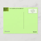 Grüne Linke Postkarte (Rückseite)