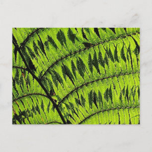 Grüne Linke Postkarte