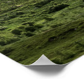 Grüne Lofoten Landschaft Poster (Ecke)