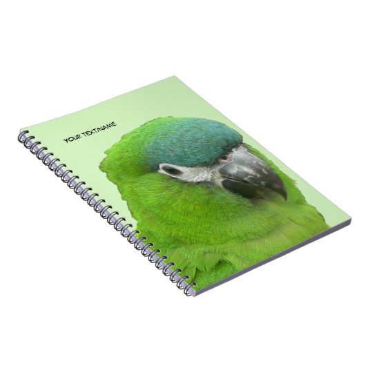 Grüne Lorikeet Kust. Text- und BG-FarbNotebook Notizblock (Rechte Seite)