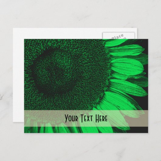 Grüne Macro Sonnenblume Blüte individuell anpassba Postkarte (Vorne/Hinten)