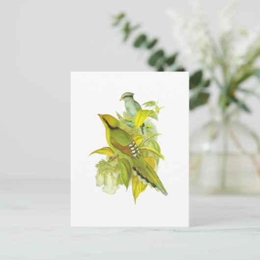 Grüne Magpie Postkarte (Stehend Vorderseite)