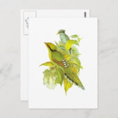 Grüne Magpie Postkarte (Vorne/Hinten)