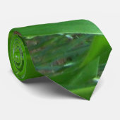 Grüne Maisställe/Blätter Foto Krawatte (Gerollt)
