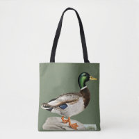 Grüne Mallard Ente Jagd Natur Kunst