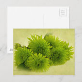 Grüne Mäuse Postkarte (Vorne/Hinten)