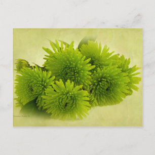 Grüne Mäuse Postkarte