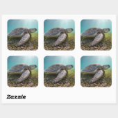 Grüne Meeresschildkröte bei Dämmerung | Akumal Bay Quadratischer Aufkleber (Blatt)