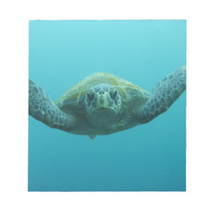 Grüne Meeresschildkröte (Chelonia mydas agassisi), Notizblock