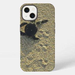 Grüne Meeresschildkröte, (Chelonia mydas), frisch  iPhone 13 Hülle