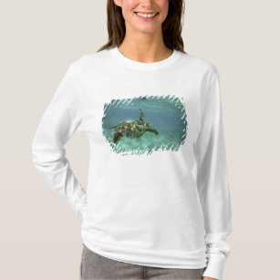 Grüne Meeresschildkröte, (Chelonia mydas), Kona T-Shirt