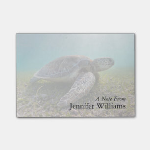 Grüne Meeresschildkröte der Bucht an der Post-it Klebezettel