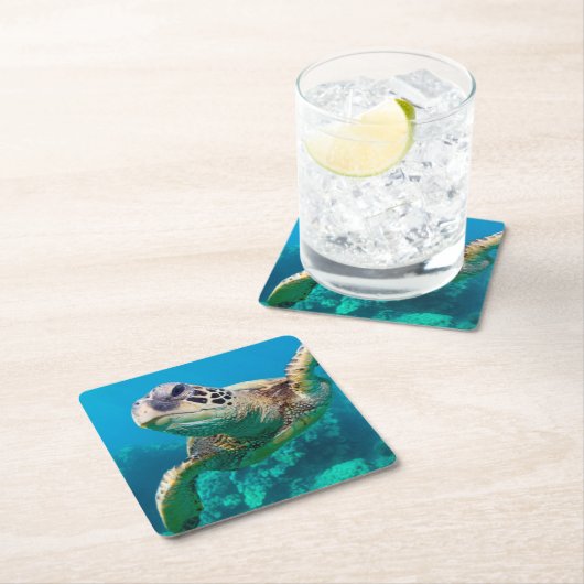 Grüne Meeresschildkröte, die über Korallenriff Rechteckiger Pappuntersetzer (Vor Ort)