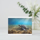 Grüne Meeresschildkröte entspannt unter Wasser Postkarte (Stehend Vorderseite)