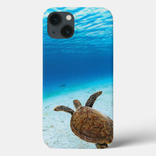 Grüne Meeresschildkröte, Grüne Schildkröte, Meeres Case-Mate iPhone Hülle