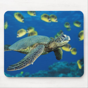 Grüne Meeresschildkröte Mousepad