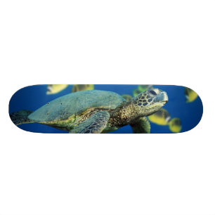 Grüne Meeresschildkröte Skateboard