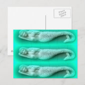 Grüne Meerjungfrau Postkarte (Vorne/Hinten)