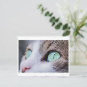 GRÜNE MIT AUGEN CAT-FOTOGRAFIE-POSTKARTE POSTKARTE (Stehend Vorderseite)