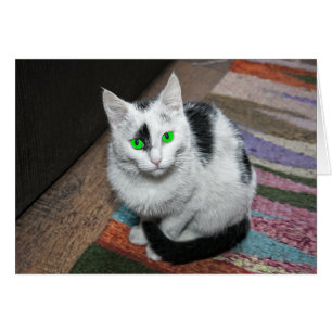Grüne Mit Augen Cat Grußkarte