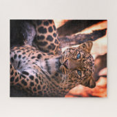 Grüne Mit Augen Cheetah Big Cat Wildlife Puzzle (Horizontal)