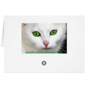 Grüne Mit Augen Katze