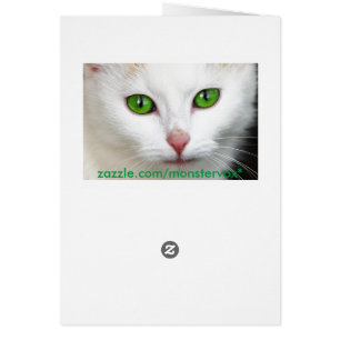 Grüne Mit Augen Katze