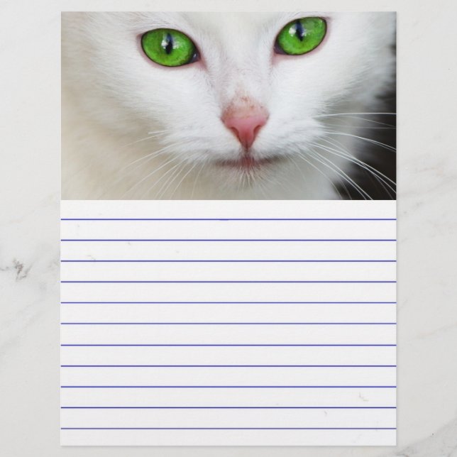 Grüne Mit Augen Katze (Vorderseite)