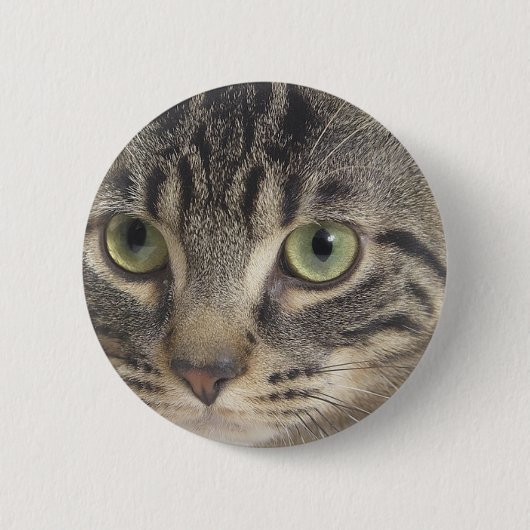 Grüne Mit Augen Katze Button (Vorderseite)