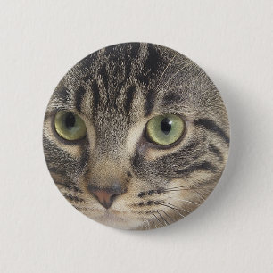 Grüne Mit Augen Katze Button