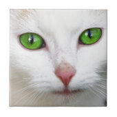Grüne Mit Augen Katze Fliese (Vorderseite)