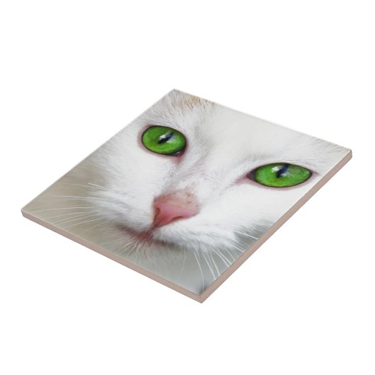 Grüne Mit Augen Katze Fliese (Seite)