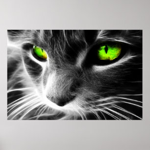 Grüne Mit Augen Katze Nah drucken Poster
