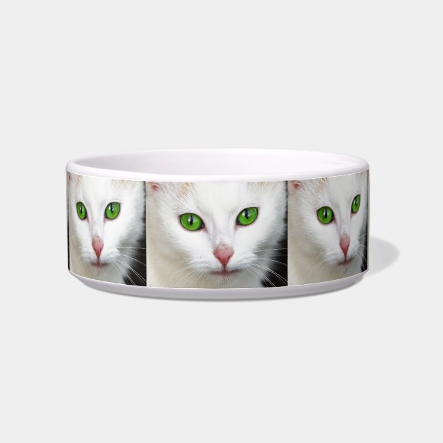 Grüne Mit Augen Katze Napf (Rechts)