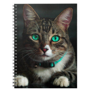 Grüne Mit Augen Katze Notizblock